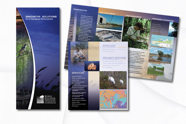 Brochure Design - Scheda Ecological Associates, Tampa, Florida