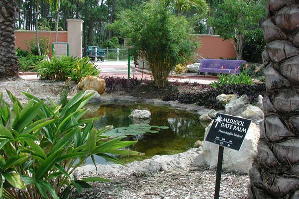 Signage - Florida Botanical Gardens in Largo, Florida; plant identification sign